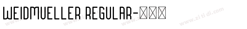 Weidmueller Regular字体转换